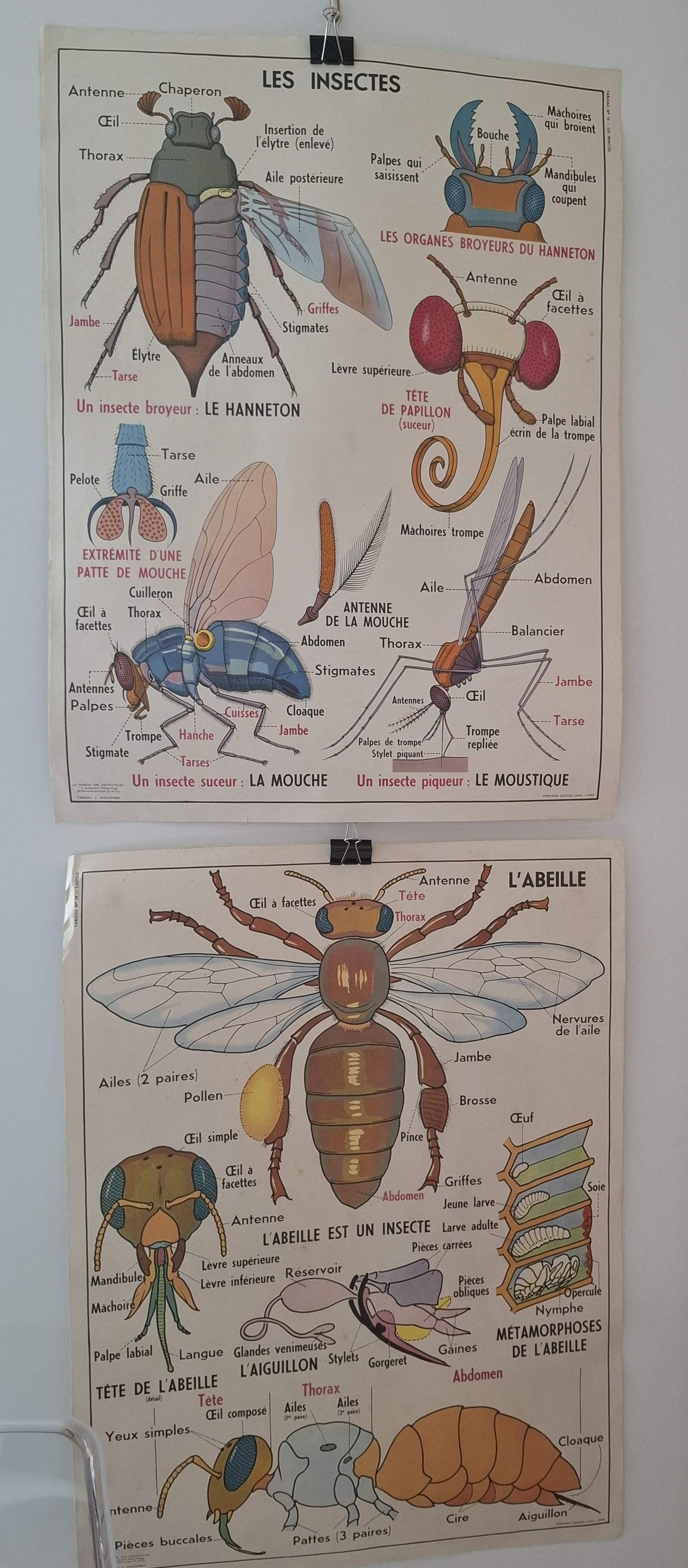 exposition AOUT 2026