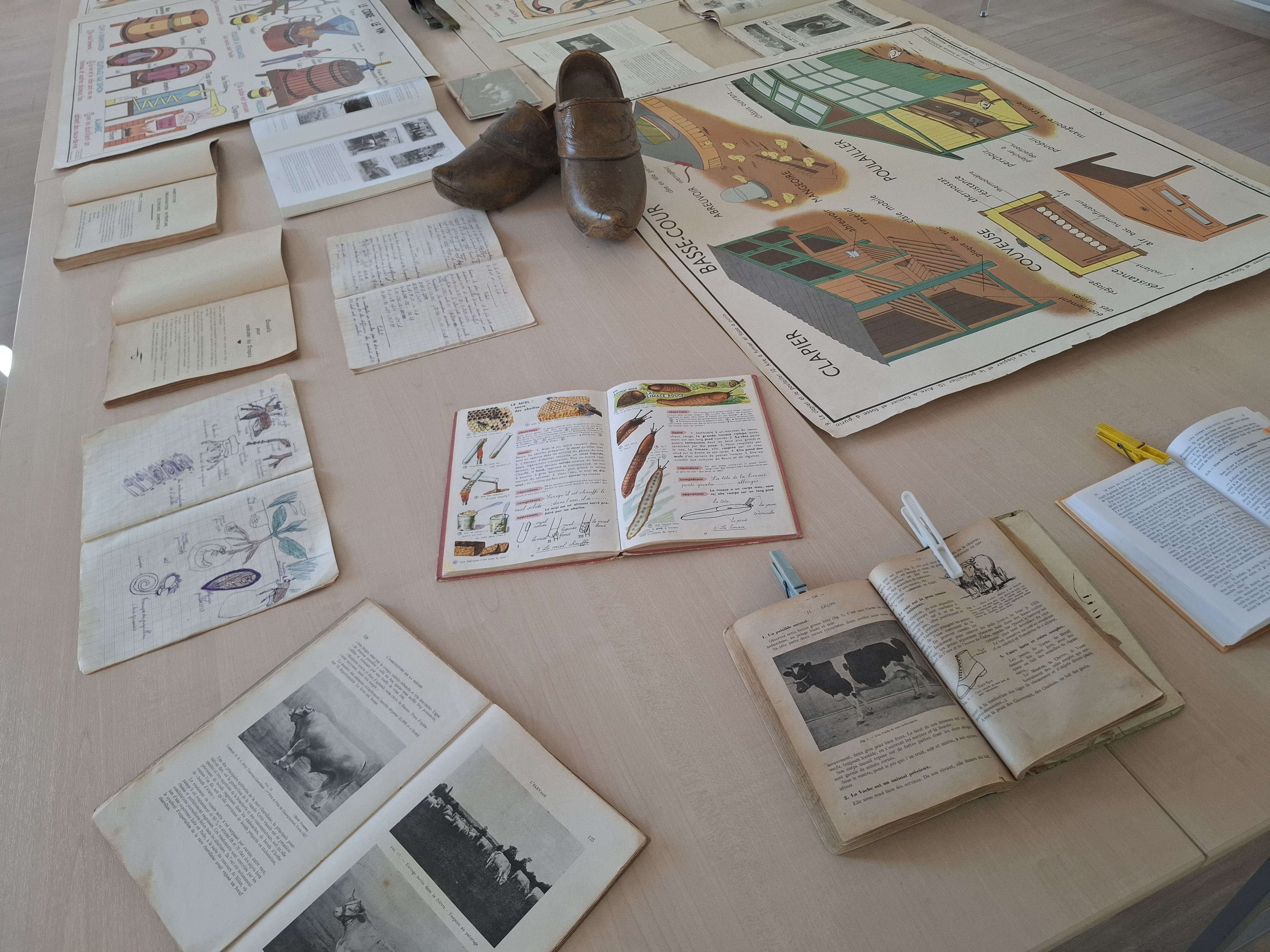exposition AOUT 2026