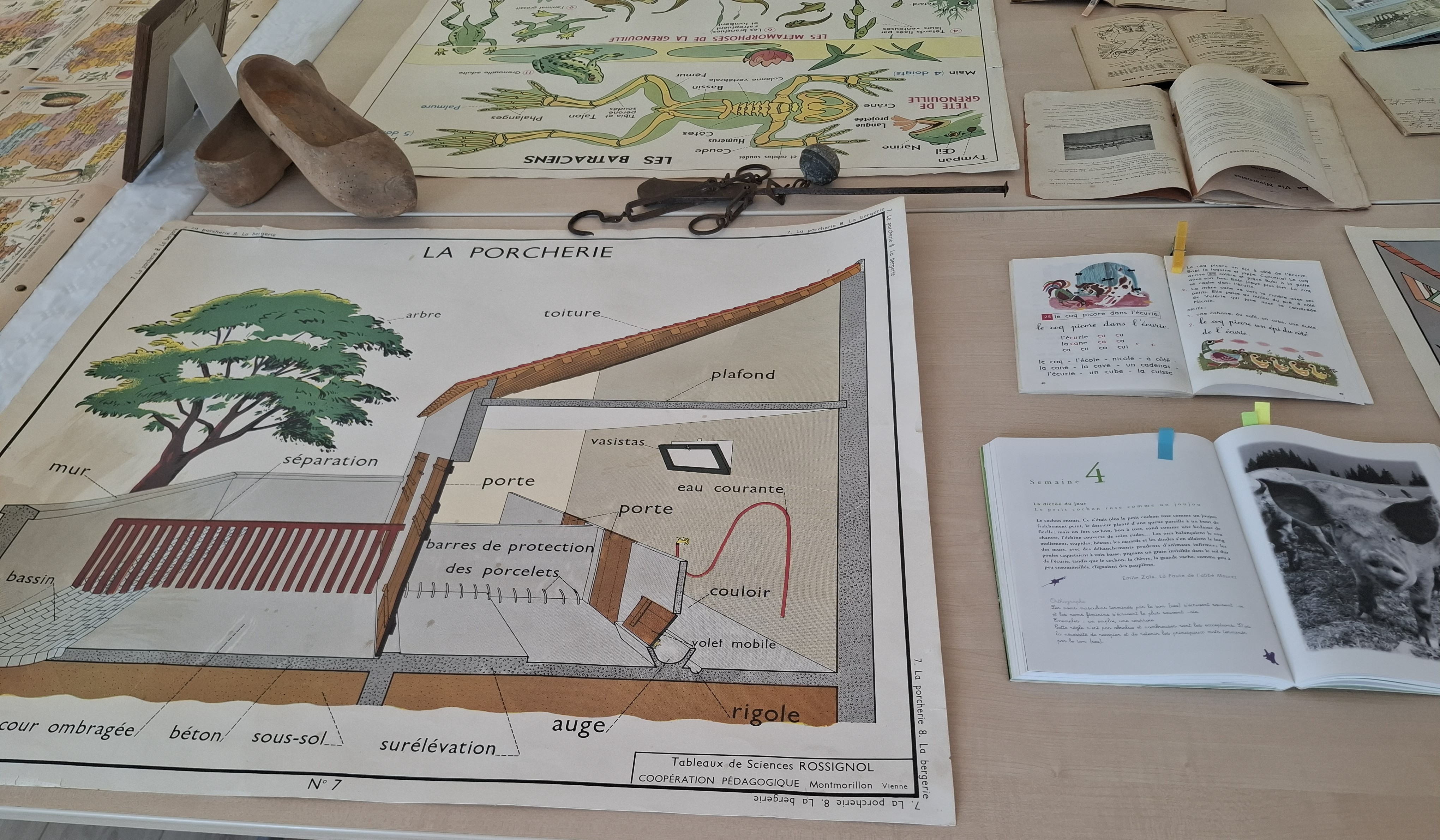 exposition AOUT 2026