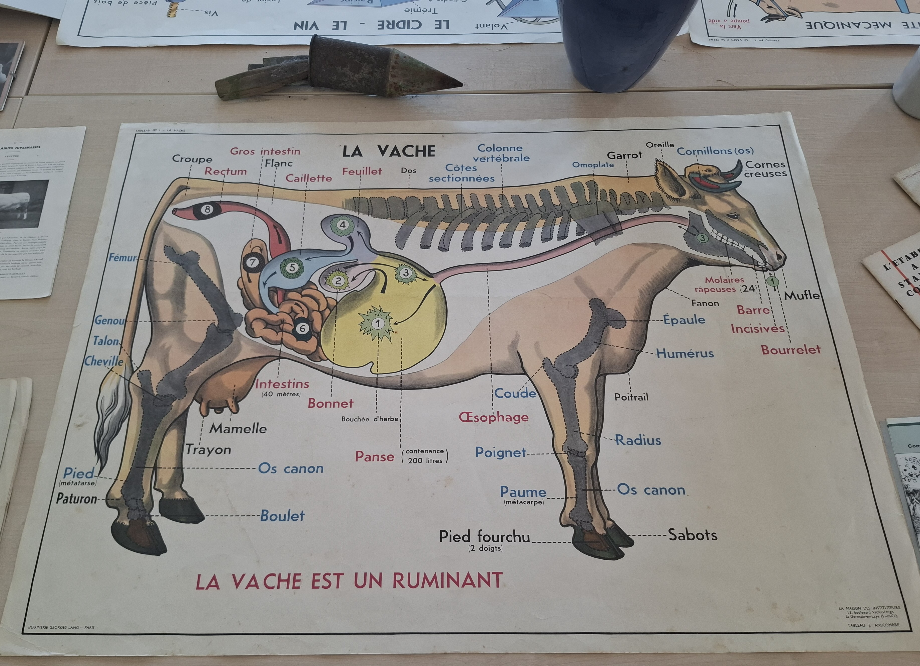 exposition AOUT 2026