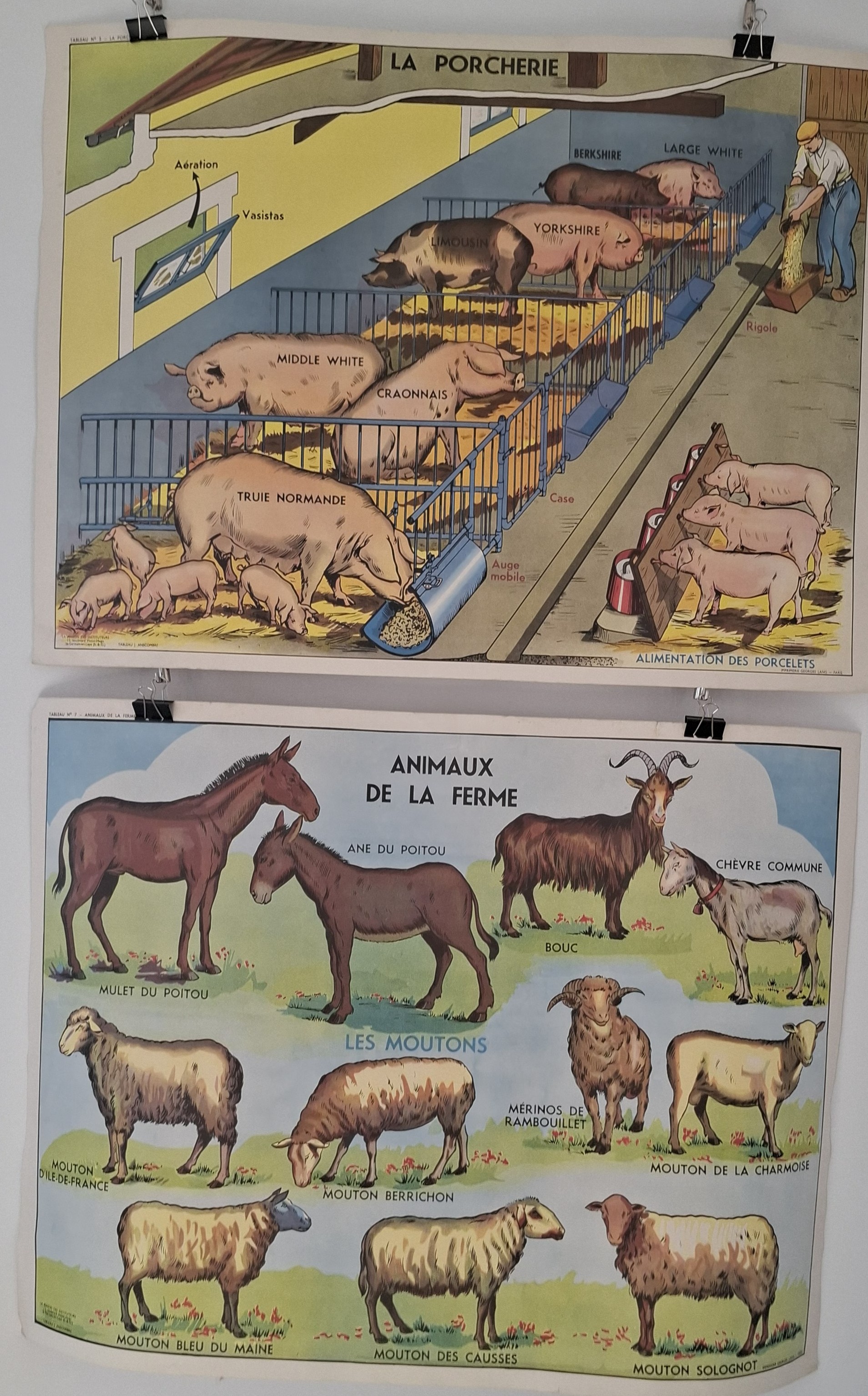 exposition AOUT 2026