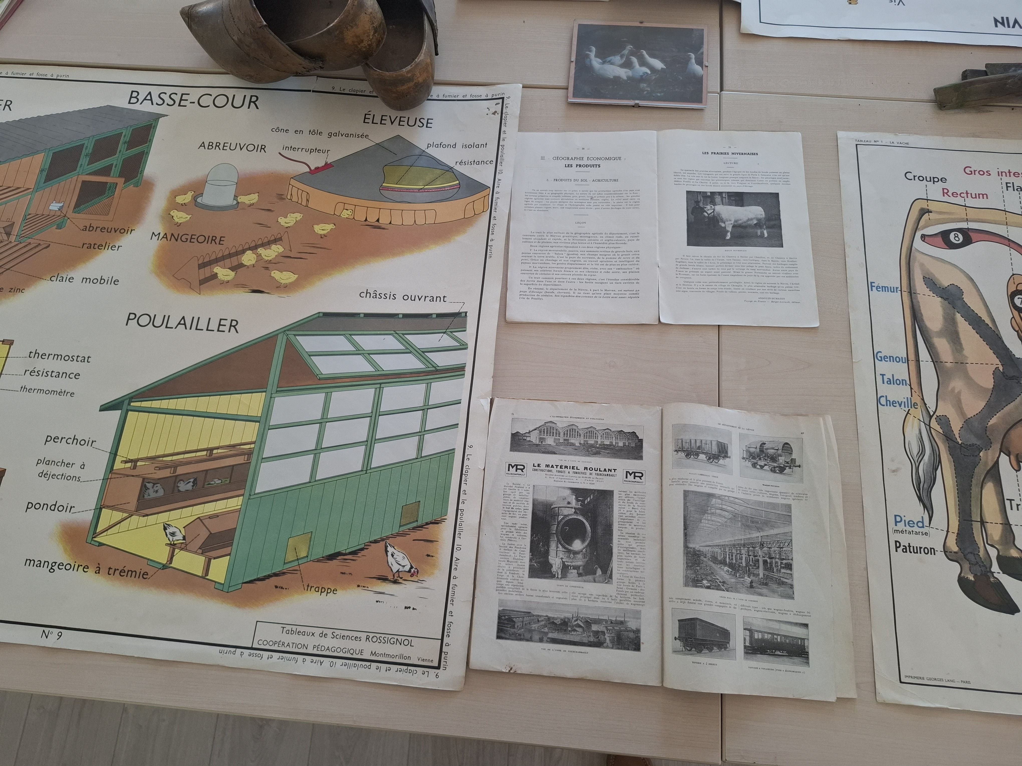 exposition AOUT 2026