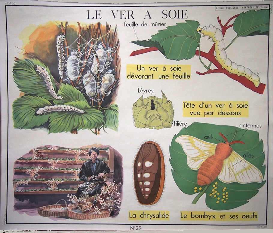 tableaux scolaires