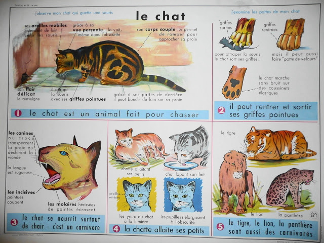 tableaux scolaires
