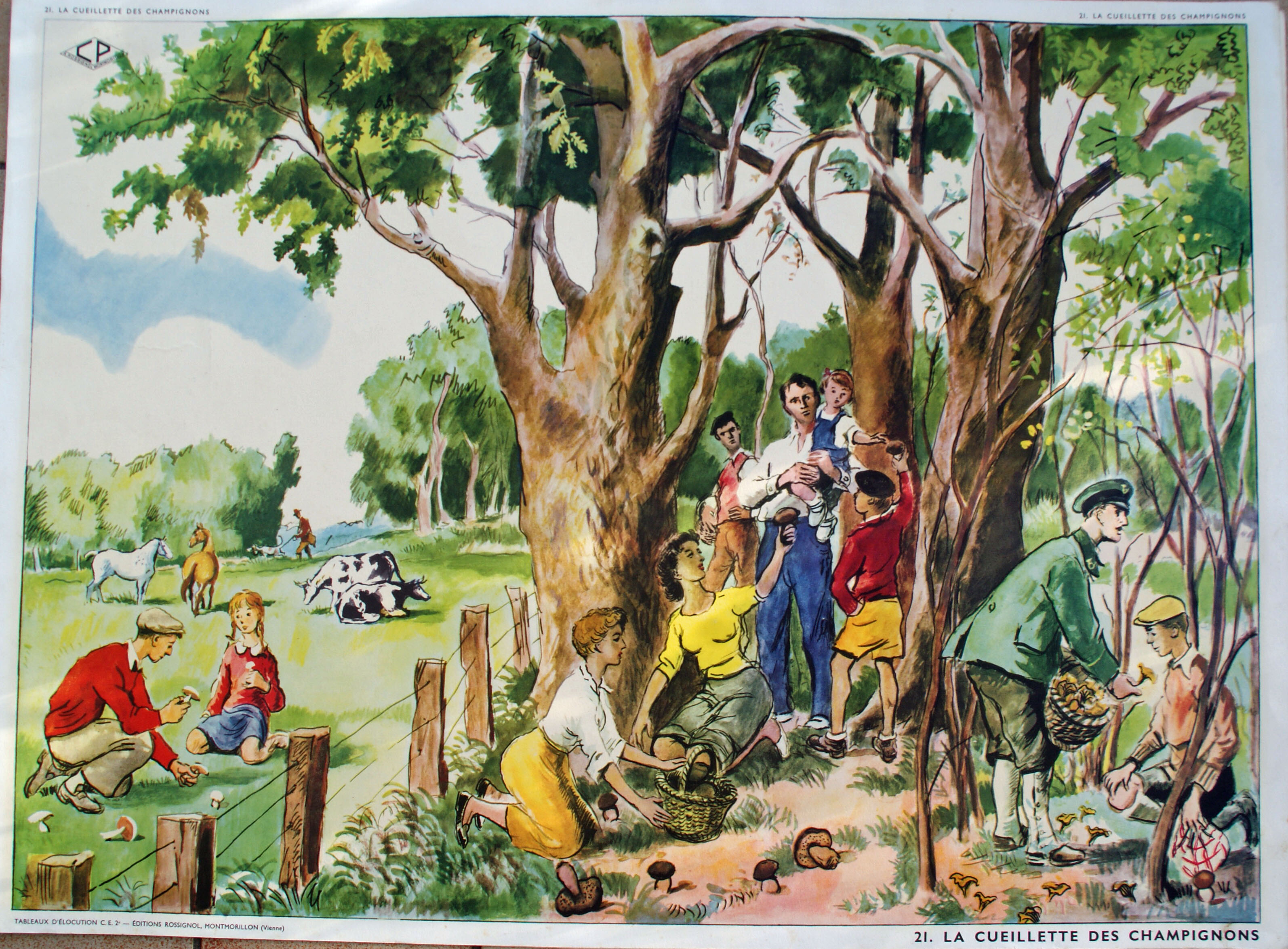 tableaux scolaires