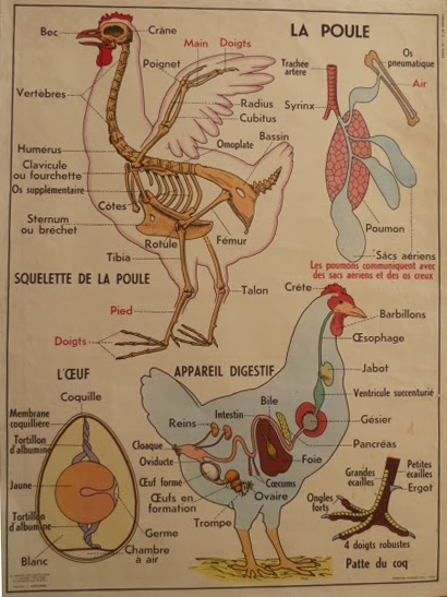 tableaux scolaires