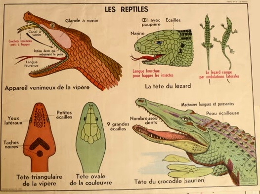 tableaux scolaires